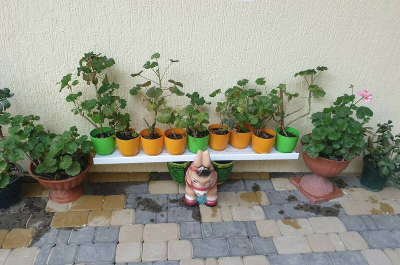 Изображение Изображение гостиницы &quot;Гостевой дом «Надежда»&quot; #5 #3