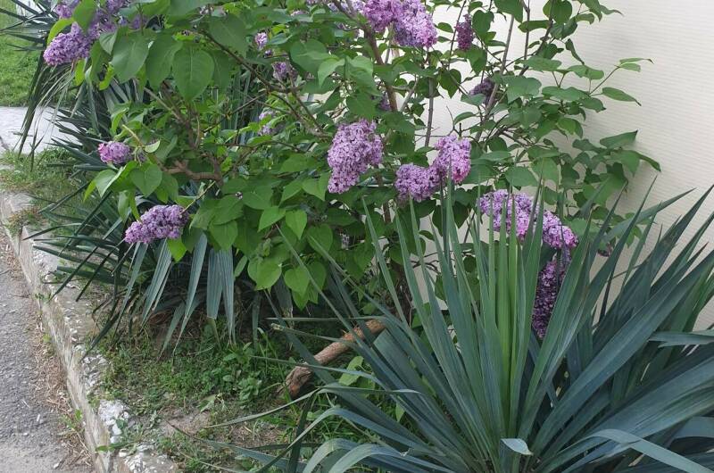 Изображение Изображение гостиницы &quot;Гостевой дом «Надежда»&quot; #9 #7