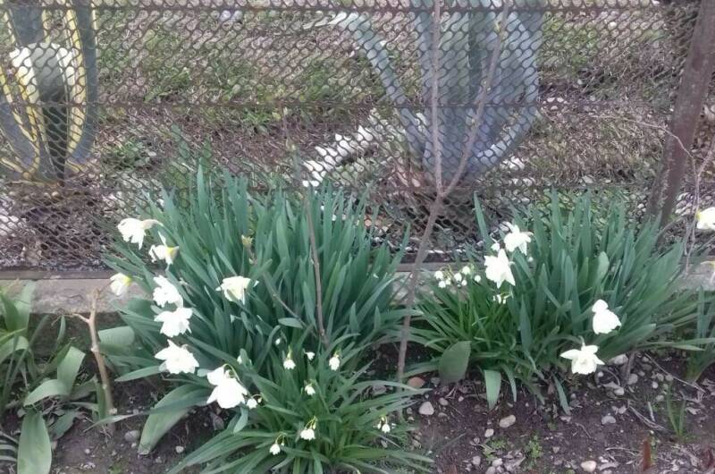 Изображение Изображение гостиницы &quot;Гостевой дом «У Риты»&quot; #3 #1