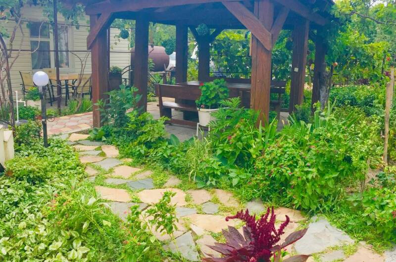 Изображение Изображение гостиницы &quot;Гостевой дом «Терраса»&quot; #5 #3