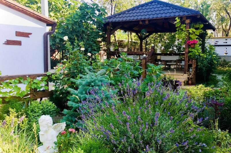 Изображение Изображение гостиницы &quot;Гостевой дом «Терраса»&quot; #7 #5