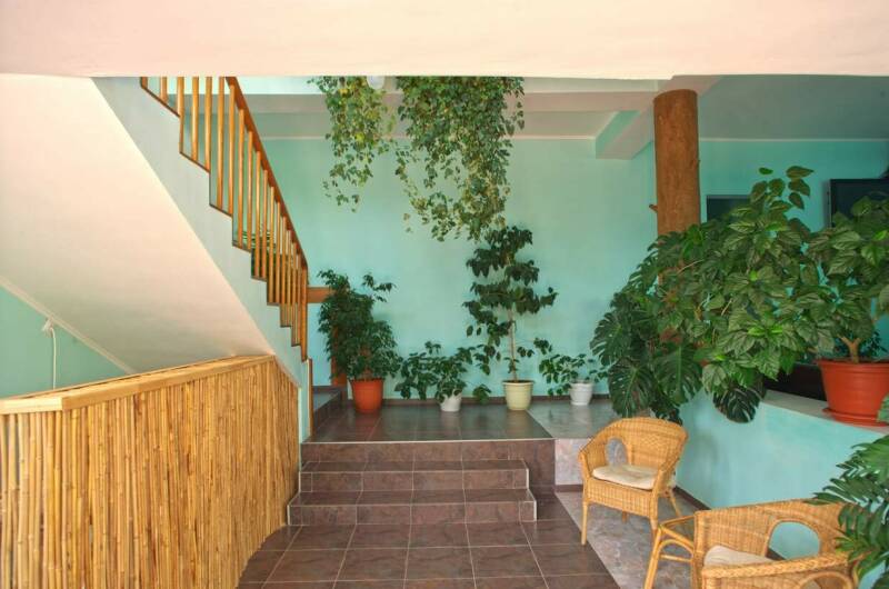 Изображение Изображение гостиницы &quot;Гостевой дом «МаркоПолоСочи»&quot; #11 #9