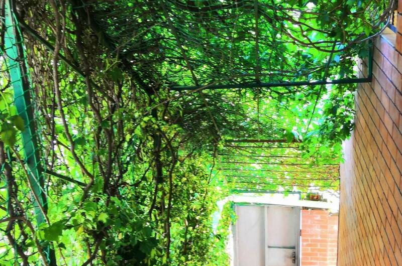 Изображение Изображение гостиницы &quot;Гостевой дом «Южанка»&quot; #5 #3