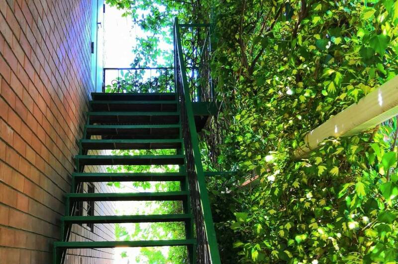 Изображение Изображение гостиницы &quot;Гостевой дом «Южанка»&quot; #7 #5