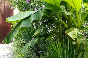 Изображение отеля / гостиницы "Коттеджи «У Люси»"