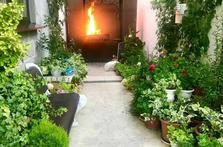 Изображение Изображение гостиницы &quot;Гостевой дом «Южный»&quot; #6 #4