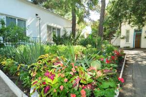 Изображение отеля / гостиницы "База отдыха «Голубые Ели»"