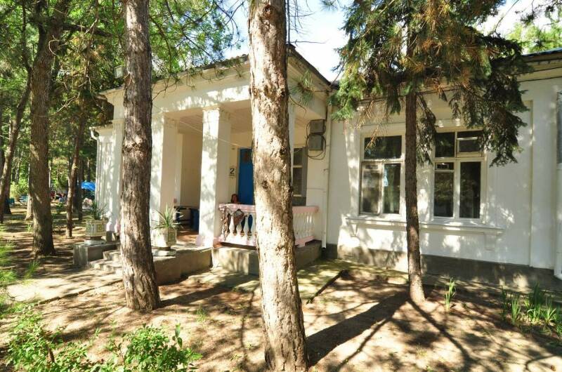 Изображение Изображение гостиницы &quot;База отдыха «Голубые Ели»&quot; #5 #3