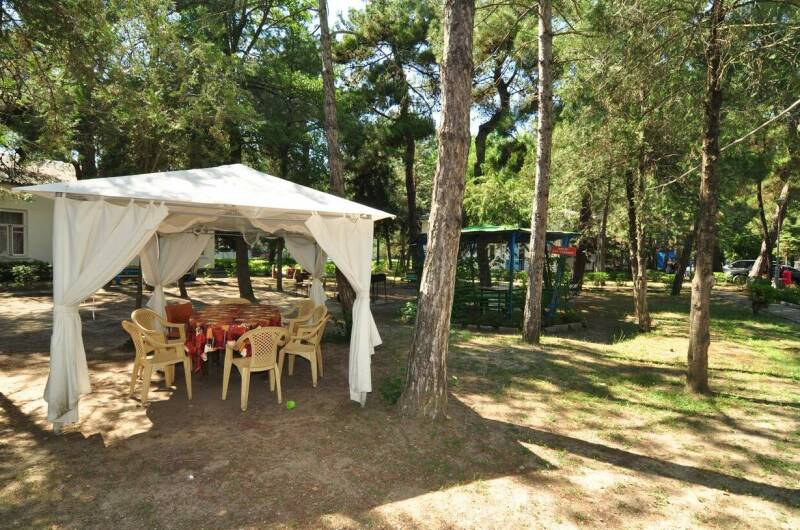 Изображение Изображение гостиницы &quot;База отдыха «Голубые Ели»&quot; #6 #4