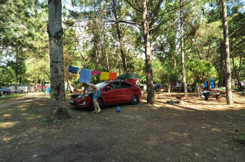 Изображение Изображение гостиницы &quot;База отдыха «Голубые Ели»&quot; #8 #6