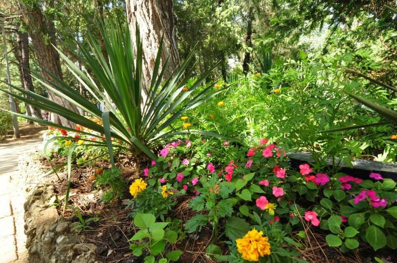 Изображение Изображение гостиницы &quot;База отдыха «Голубые Ели»&quot; #9 #7