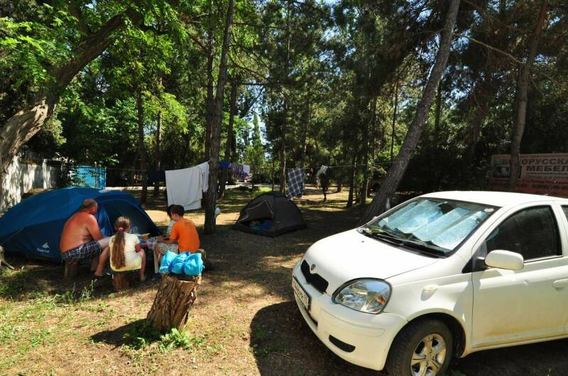 Изображение Изображение гостиницы &quot;База отдыха «Голубые Ели»&quot; #11 #9