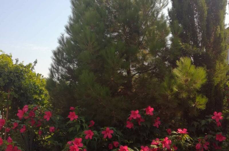 Изображение Изображение гостиницы &quot;Гостевой дом «На Армейской»&quot; #4 #2