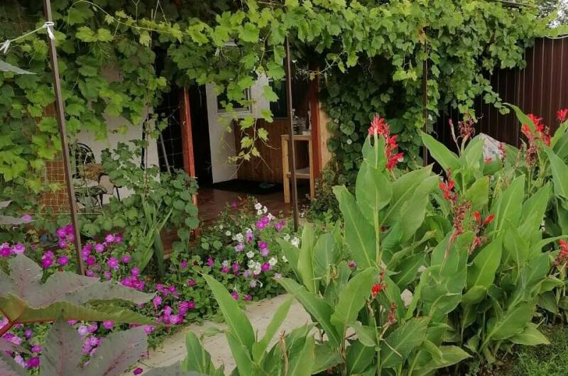 Изображение Изображение гостиницы &quot;Гостевой дом «Азовский бархат»&quot; #8 #6