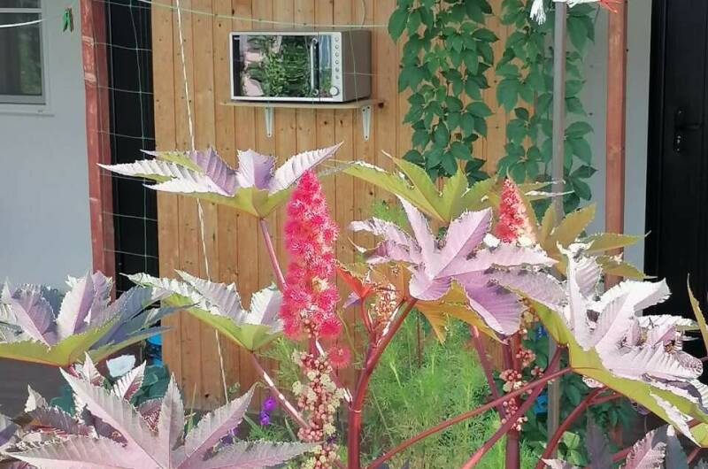 Изображение Изображение гостиницы &quot;Гостевой дом «Азовский бархат»&quot; #11 #9