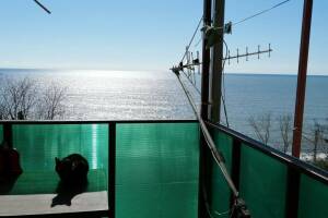 Изображение отеля / гостиницы "Гостевой дом «У Алика»"