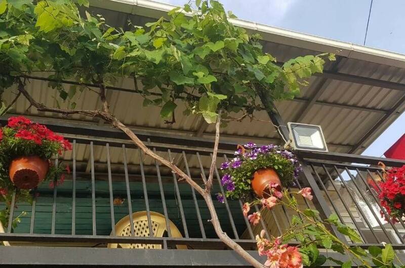 Изображение Изображение гостиницы &quot;Гостевой дом «Кристина»&quot; #3 #1