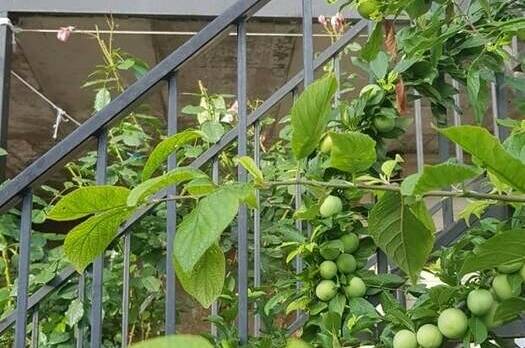 Изображение Изображение гостиницы &quot;Гостевой дом «Кристина»&quot; #6 #4