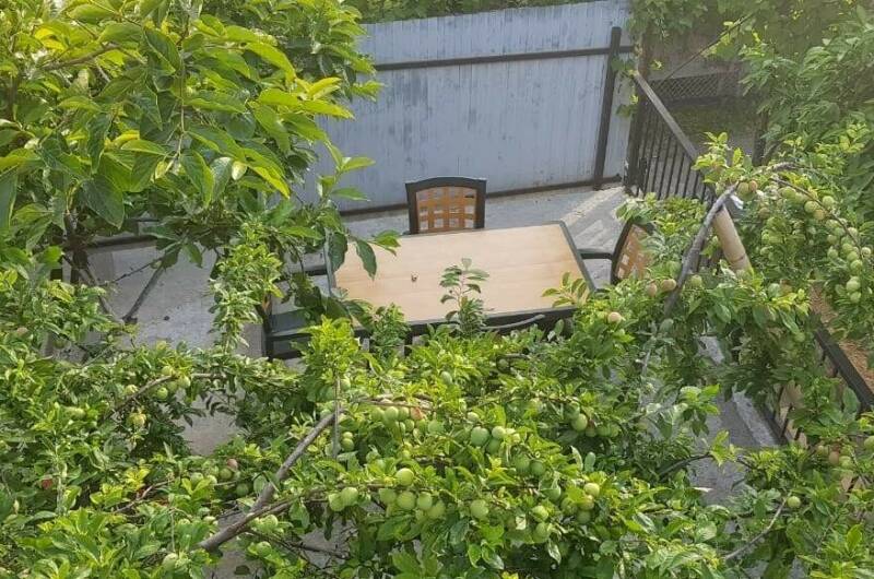 Изображение Изображение гостиницы &quot;Гостевой дом «Кристина»&quot; #7 #5