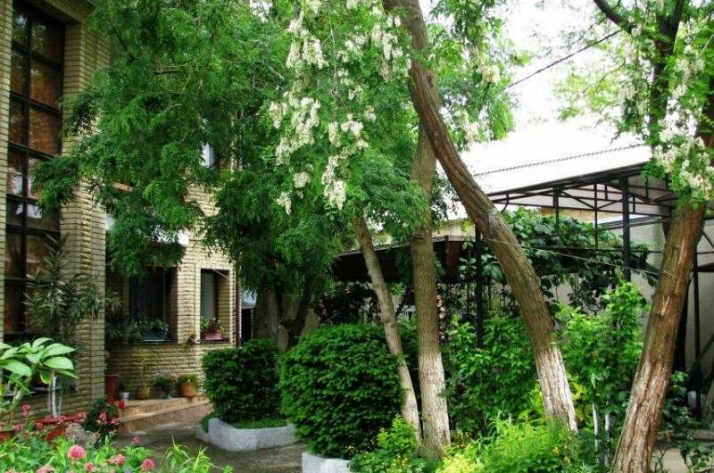 Изображение Изображение гостиницы &quot;Дом в Литфонде&quot; #4 #2