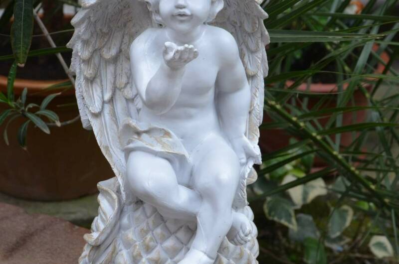 Изображение Изображение гостиницы &quot;Гостевой дом «Оксана»&quot; #10 #8