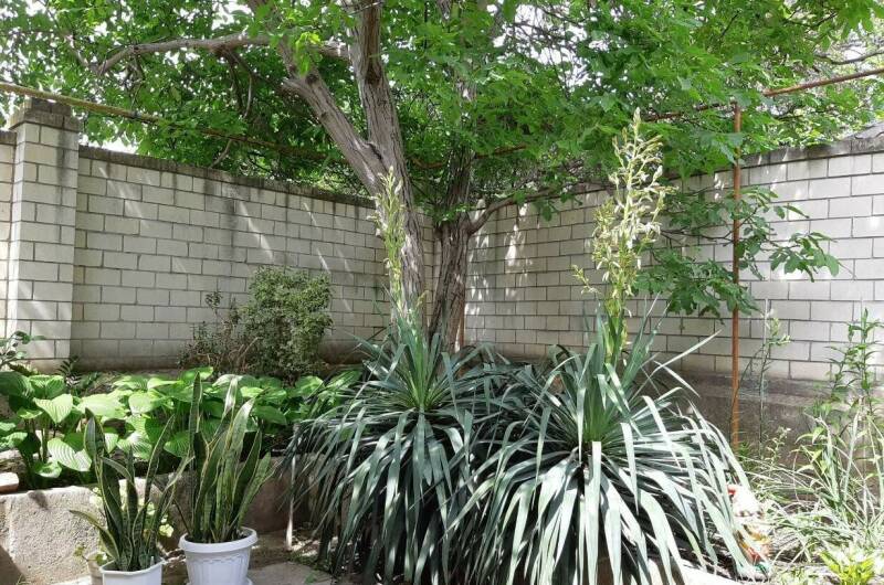 Изображение Изображение квартиры &quot;Дом под ключ&quot; #10 #8