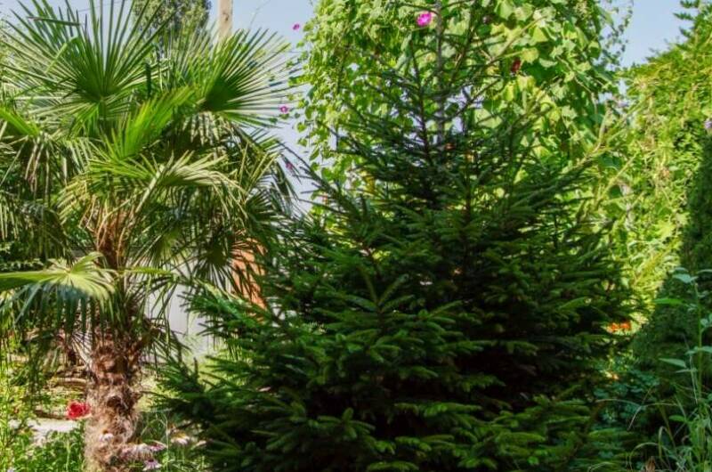 Изображение Изображение гостиницы &quot;Гостевой дом «Аше»&quot; #7 #5