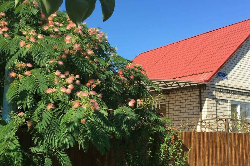 Изображение квартиры "Дом под ключ «Уютный дворик»" #1