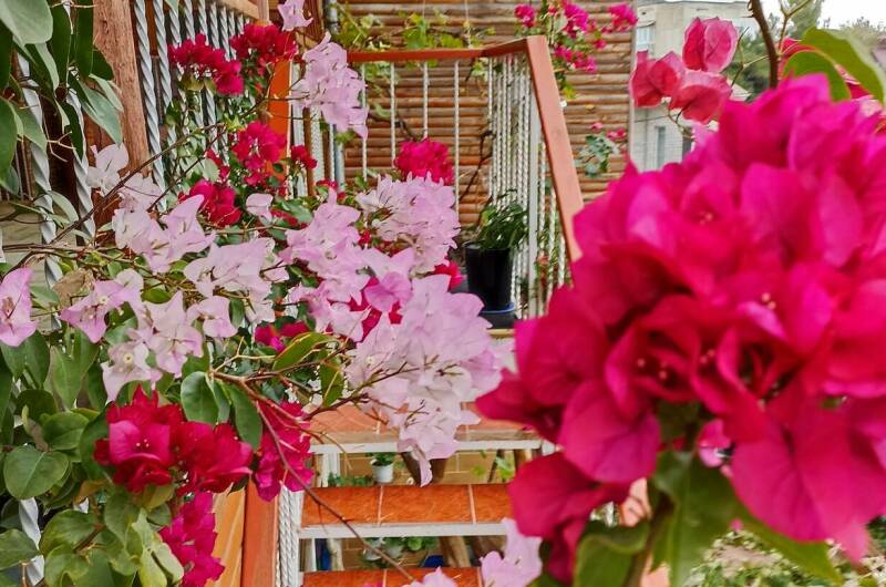 Изображение Изображение гостиницы &quot;Гостевой Дом на Зерновской&quot; #3 #1