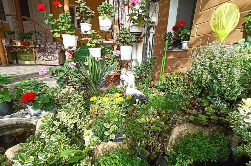 Изображение Изображение гостиницы &quot;Гостевой Дом на Зерновской&quot; #8 #6