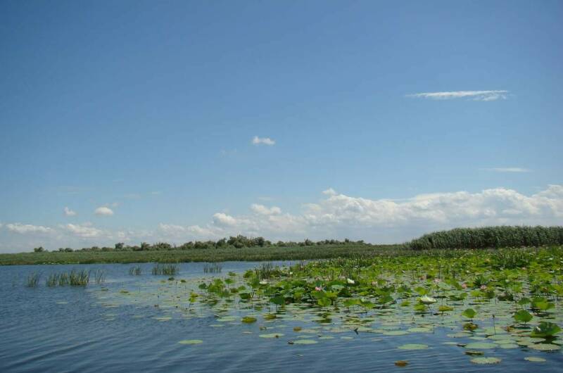 Изображение Изображение квартиры &quot;Дом под ключ «Азовские дачи»&quot; #4 #2