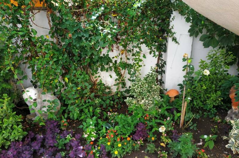 Изображение Изображение гостиницы &quot;Гостевой дом «Христина»&quot; #10 #8