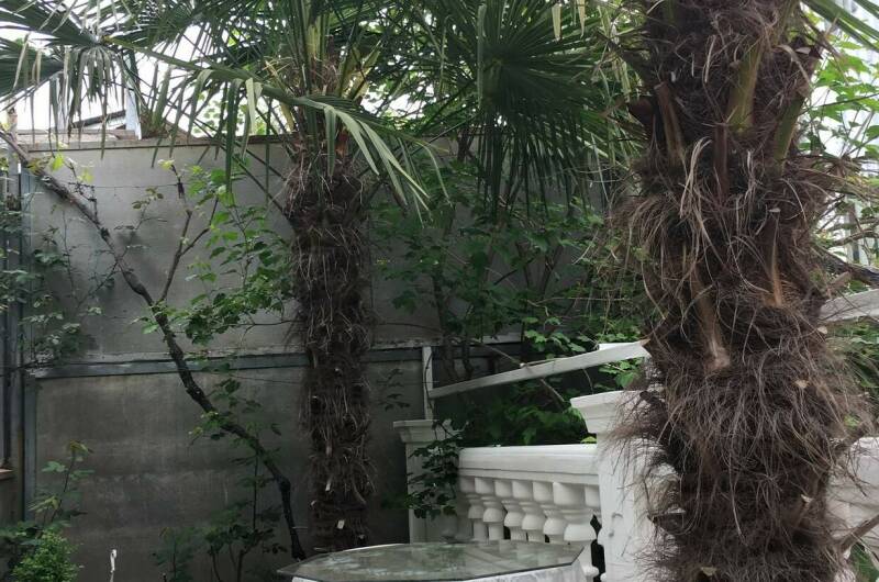 Изображение Изображение гостиницы &quot;Мини-гостиница «Наш Дом»&quot; #11 #9