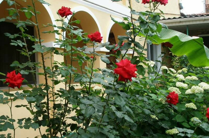 Изображение Изображение гостиницы &quot;Гостевой дом на Головина 29&quot; #7 #5