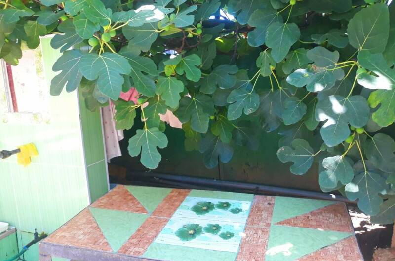 Изображение Изображение квартиры &quot;Душевный домик рядом с морем и озером&quot; #7 #5