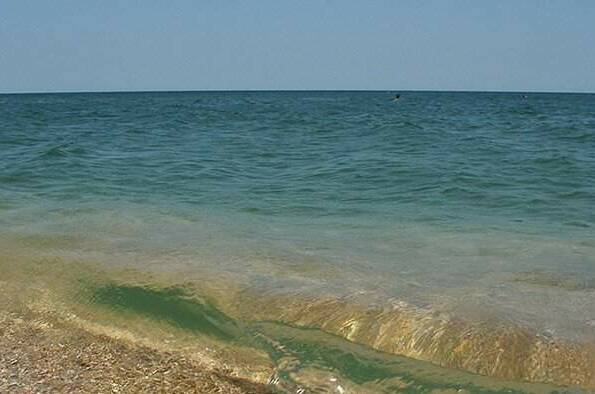 Изображение Изображение гостиницы &quot;Домики у Азовского моря&quot; #7 #5