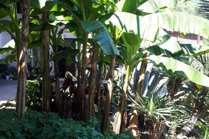 Изображение Изображение гостиницы &quot;Гостевой дом «У моря»&quot; #8 #6