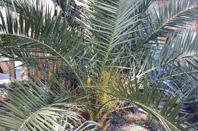 Изображение Изображение гостиницы &quot;Гостевой дом «У моря»&quot; #9 #7