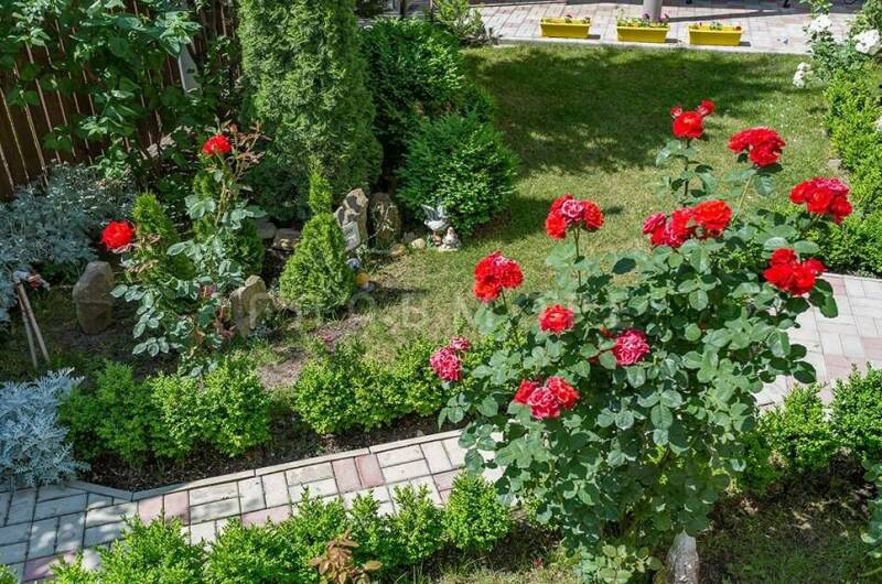 Изображение Изображение гостиницы &quot;Частный дом «Светлана»&quot; #5 #3