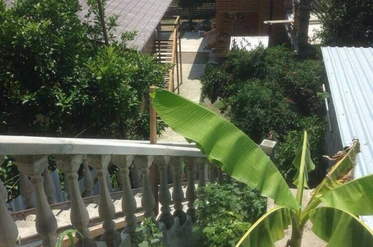 Изображение Изображение гостиницы &quot;Гостевой дом «Киви»&quot; #3 #1