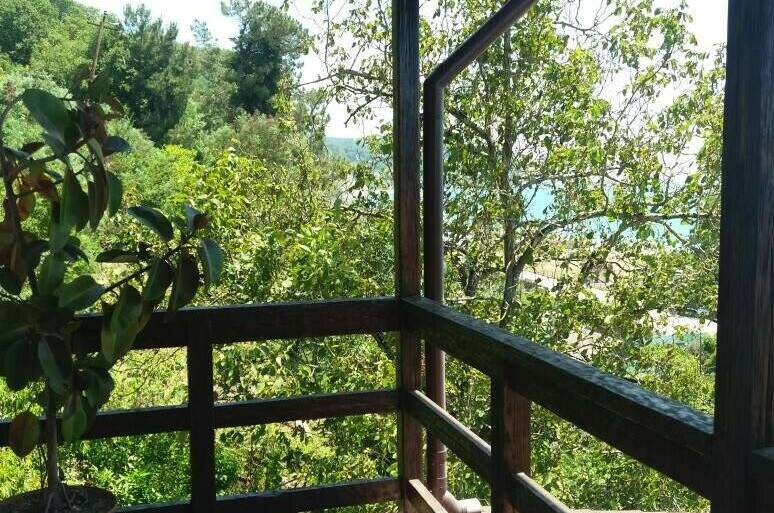 Изображение Изображение гостиницы &quot;Гостевой дом «Киви»&quot; #4 #2