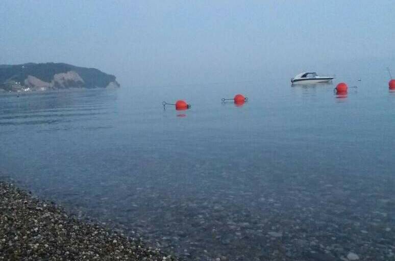 Изображение Изображение гостиницы &quot;Гостевой дом «Киви»&quot; #6 #4