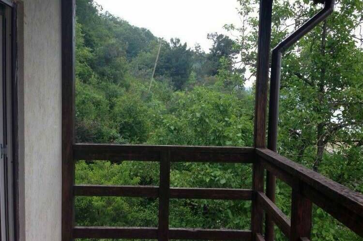 Изображение Изображение гостиницы &quot;Гостевой дом «Киви»&quot; #8 #6