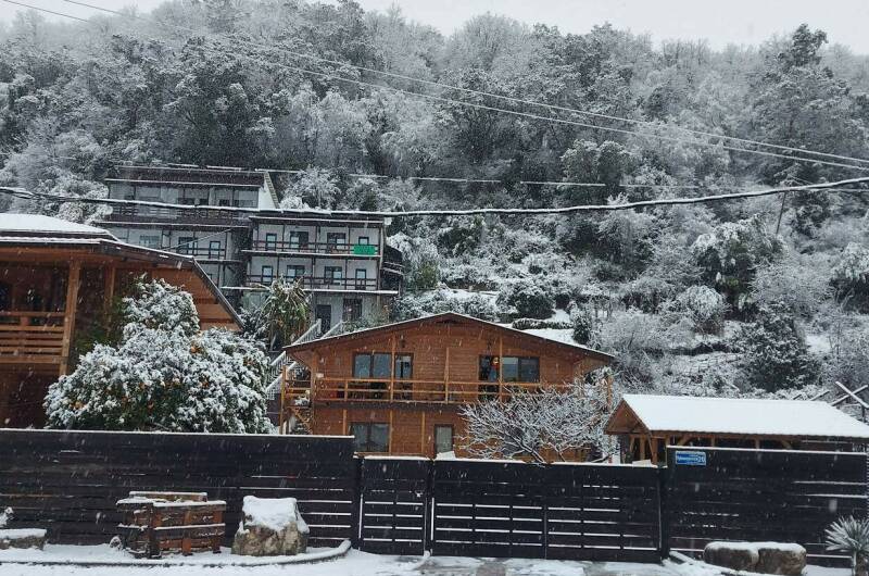 Изображение Изображение гостиницы &quot;Гостевой дом «Киви»&quot; #10 #8