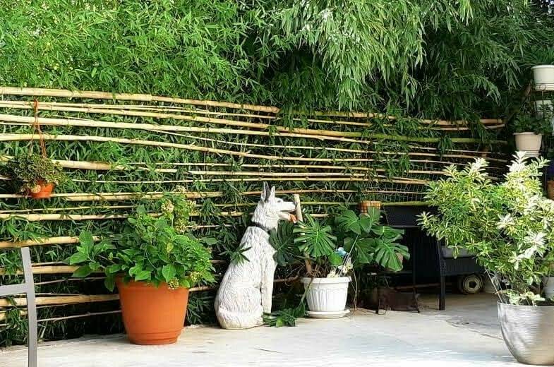 Изображение Изображение квартиры &quot;Дом под ключ «К Журавлям» на 5−9 гостей&quot; #11 #9