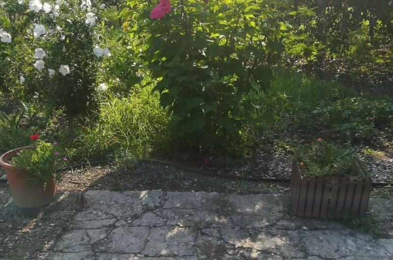 Изображение Изображение гостиницы &quot;Частный сектор «У Сусанны»&quot; #4 #2