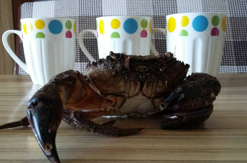 Изображение Изображение гостиницы &quot;Гостевой дом «Tifani»&quot; #3 #1