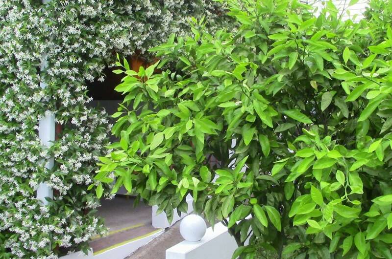 Изображение Изображение гостиницы &quot;Гостевой дом «Бирюзовая Бездна»&quot; #6 #4