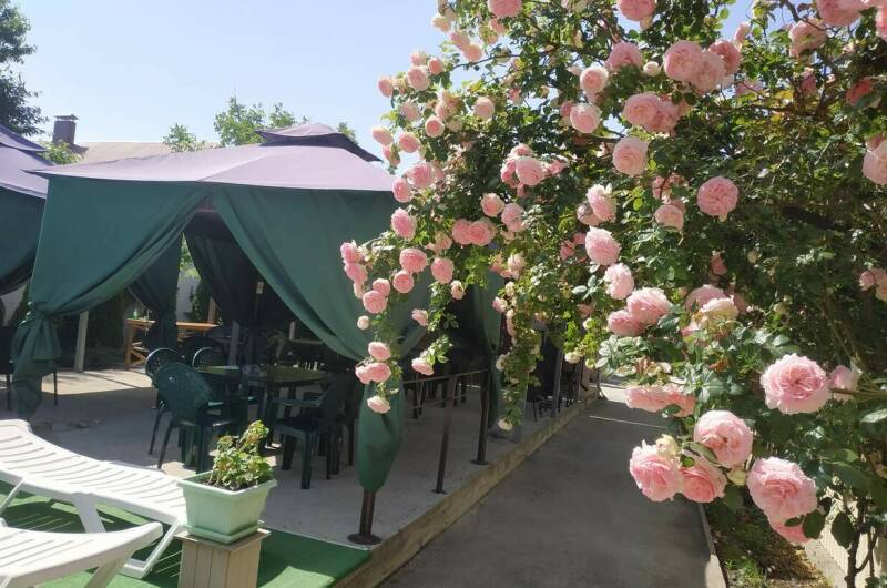 Изображение Изображение гостиницы &quot;Мини-гостиница «Лето Club»&quot; #6 #4