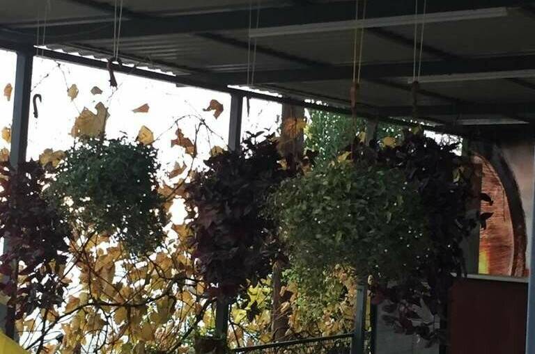 Изображение Изображение гостиницы &quot;Гостевой дом «Аракс»&quot; #7 #5